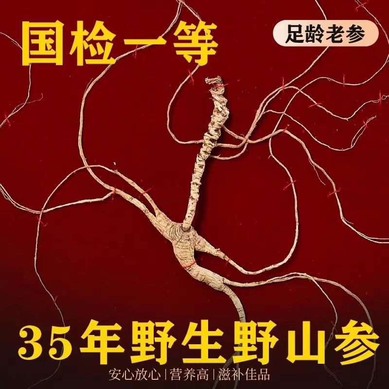 長白山野山參